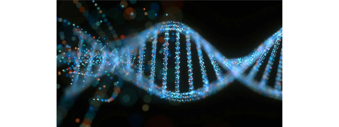 Methylation-support nutrients including leafy greens, eggs, vitamin B12, folate and TMG supplements.