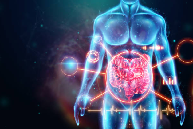 Gut Support & Detox