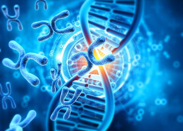 Methylation Support