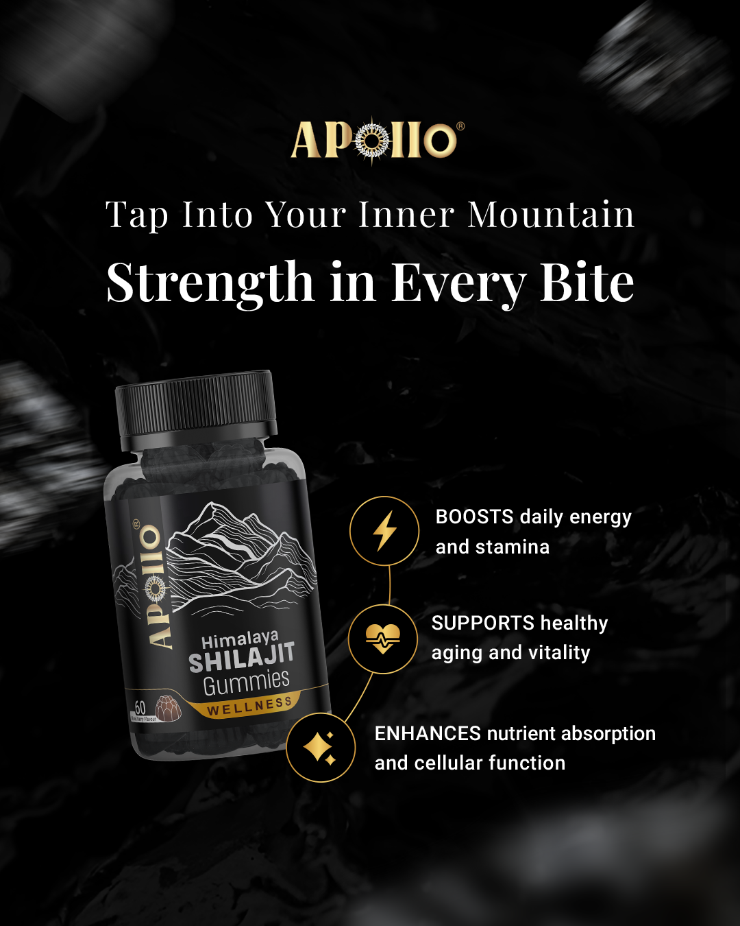 Apollo Nutraceuticals - Himalayan Shilajit Gummies (60 Gummies)