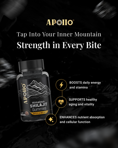 Apollo Nutraceuticals - Himalayan Shilajit Gummies (60 Gummies)