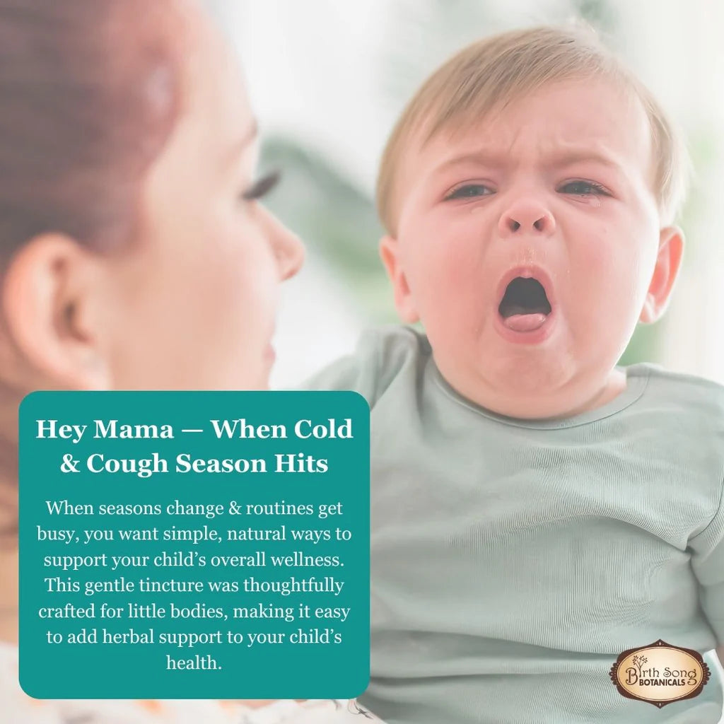 Birth Song Botanicals - Children's Respiratory Support Default Title