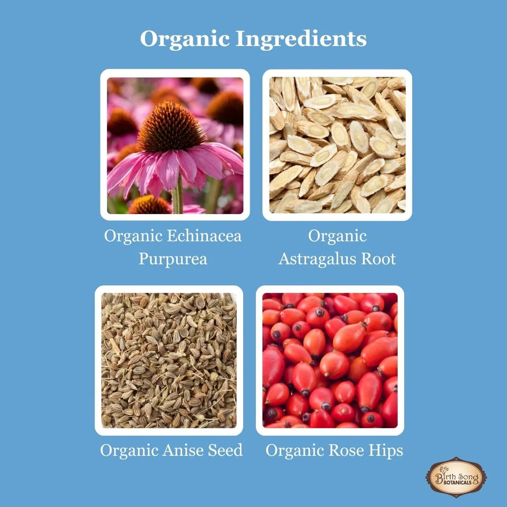 Birth Song Botanicals - Children's Daily Immune Default Title