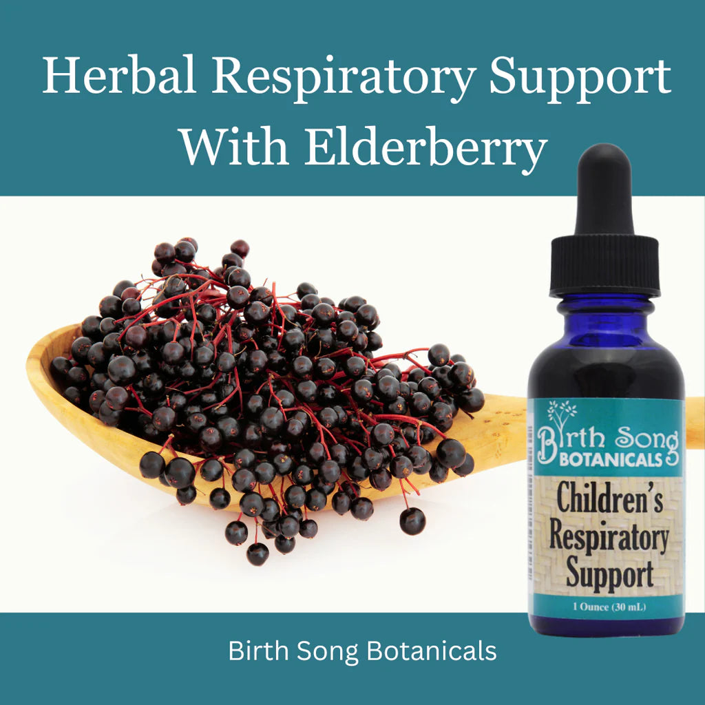 Birth Song Botanicals - Children's Respiratory Support Default Title