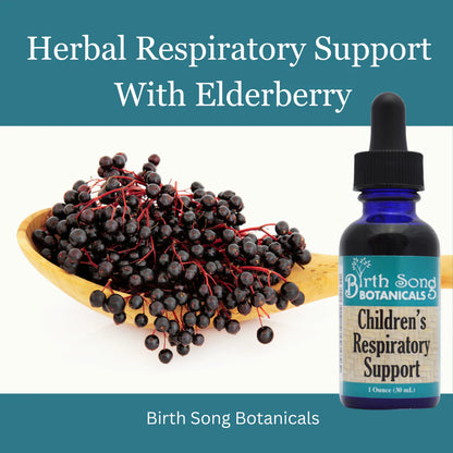 Birth Song Botanicals - Children's Respiratory Support Default Title