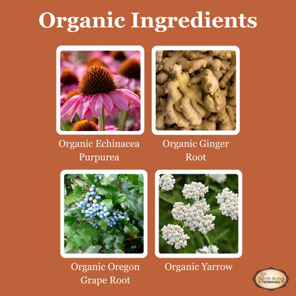 Birth Song Botanicals - Echinacea Complex Default Title