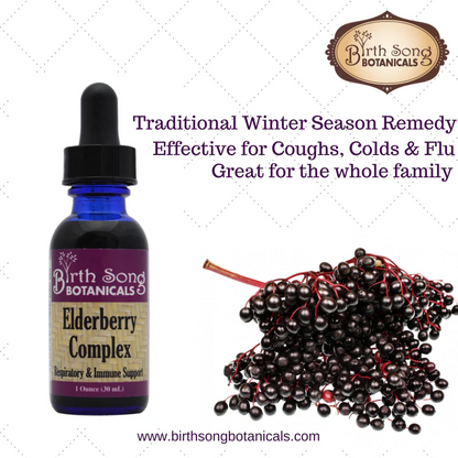 Birth Song Botanicals - Elderberry Complex - Essential Remedy Co