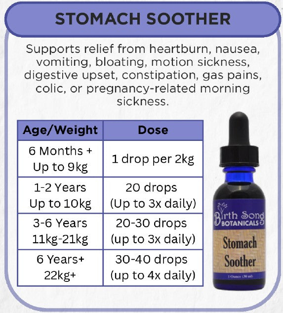 Birth Song Botanicals - Stomach Soother Default Title