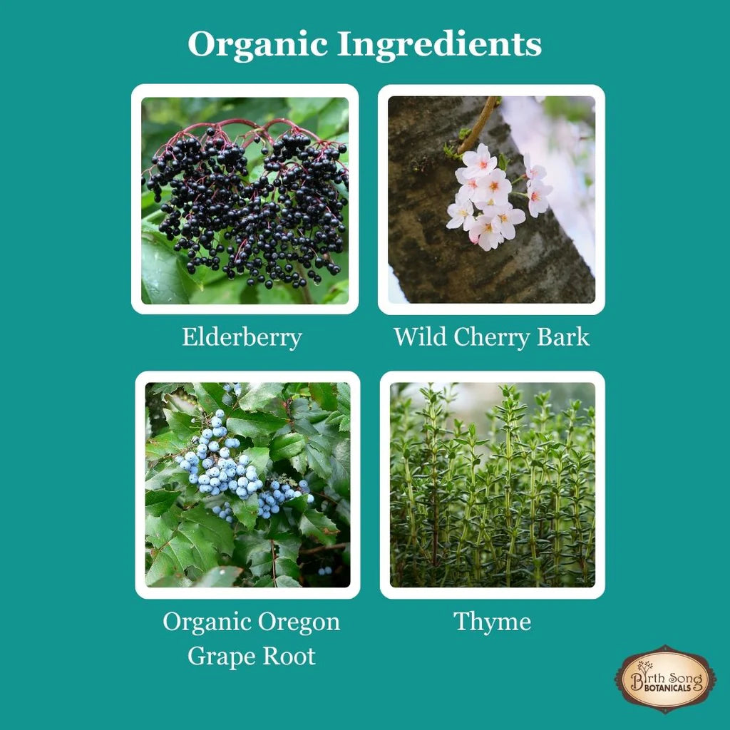 Birth Song Botanicals - Children's Respiratory Support Default Title