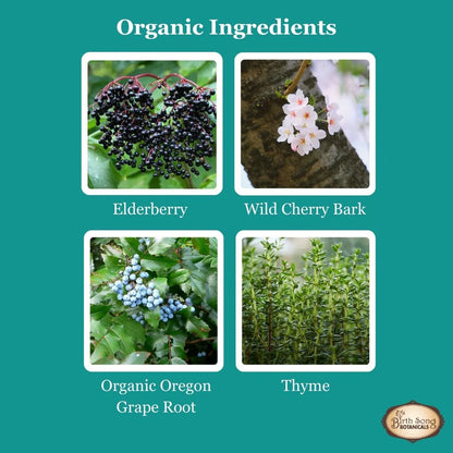 Birth Song Botanicals - Children's Respiratory Support Default Title