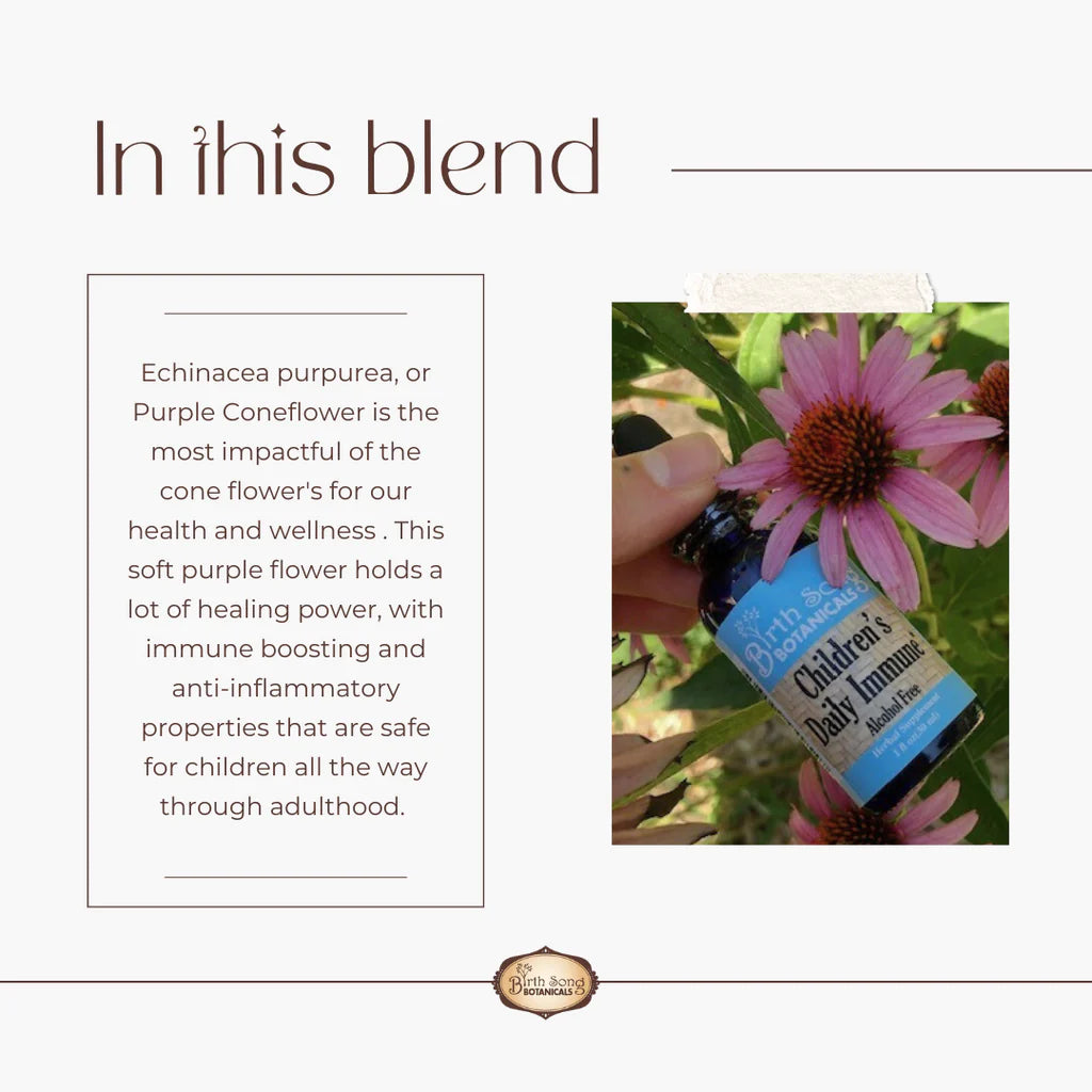 Birth Song Botanicals - Children's Daily Immune - Essential Remedy Co