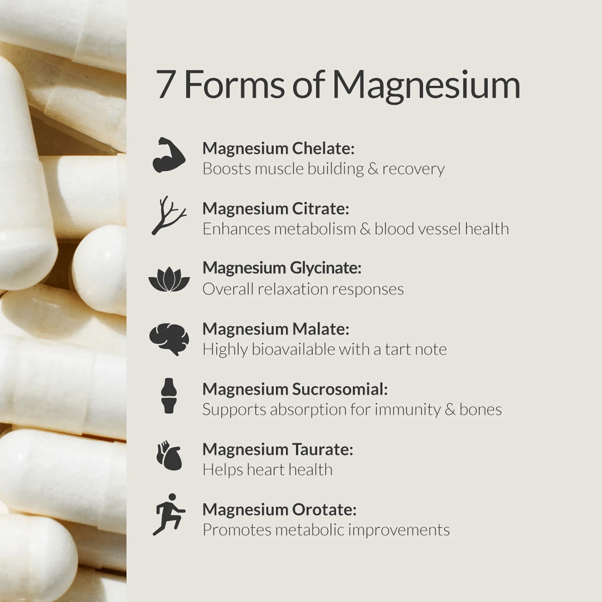 BIOptimizers Magnesium Breakthrough - Essential Remedy Co