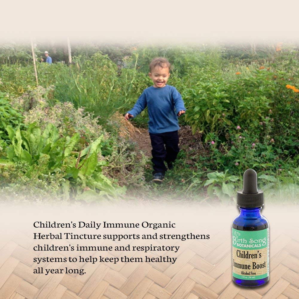 Birth Song Botanicals - Children's Immune Boost Default Title