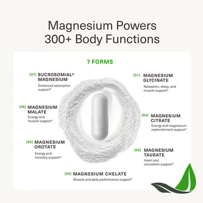 BIOptimizers - Magnesium Breakthrough Default Title